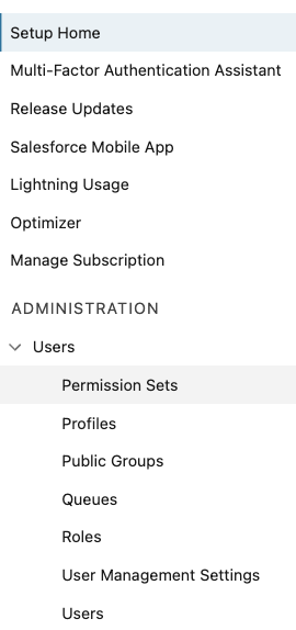 Navigate to Users then Permission Sets