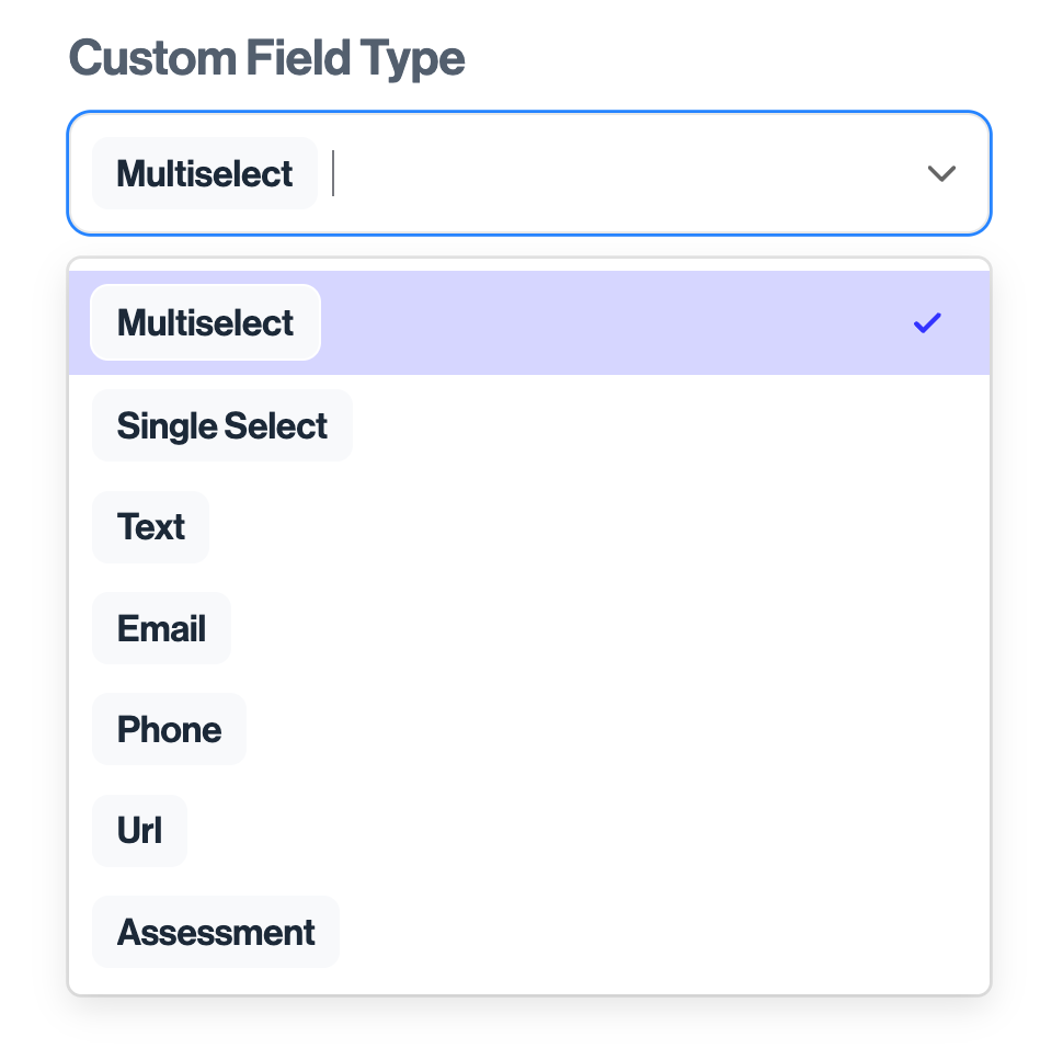 Selecting a custom field's type