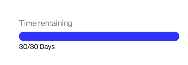 Time reamining: 30/30. A visualization of the time remaining on a DSR.