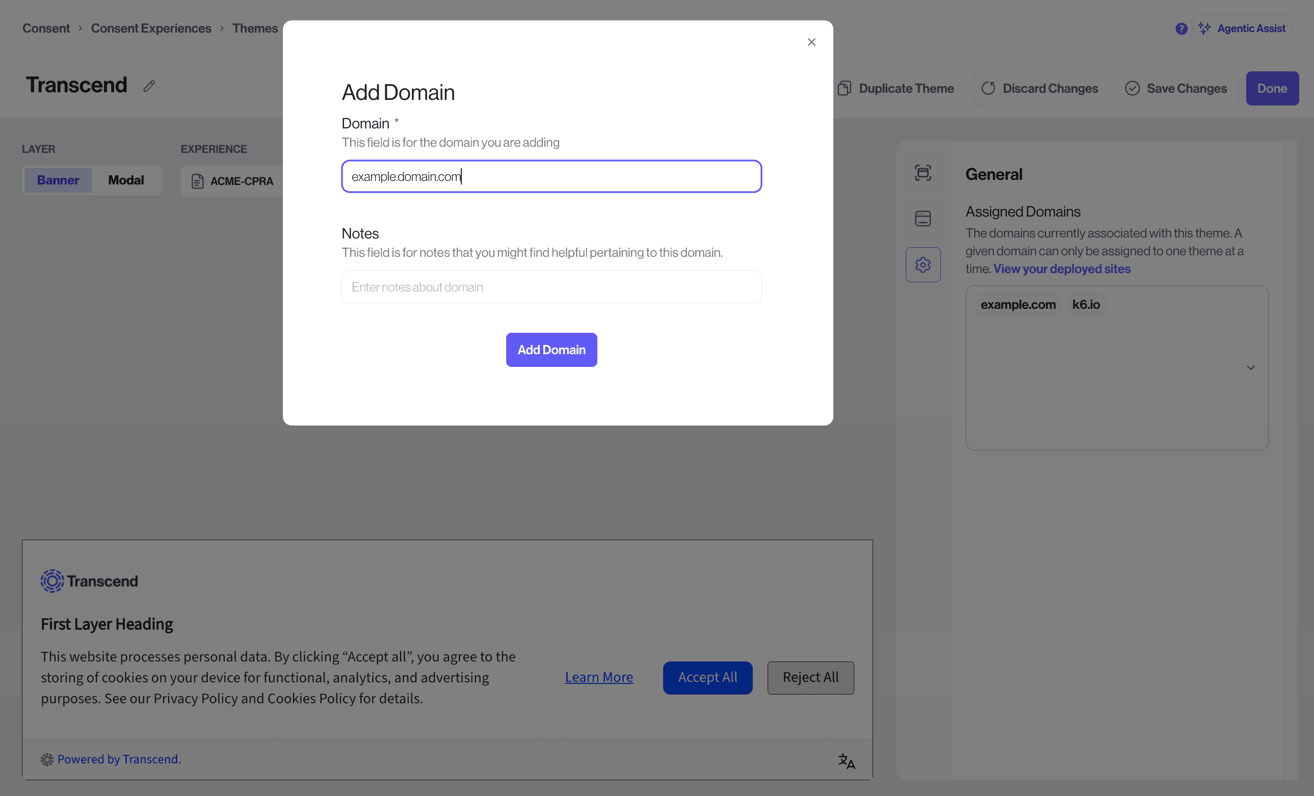 Filled out Add Domain form in Theme Editor