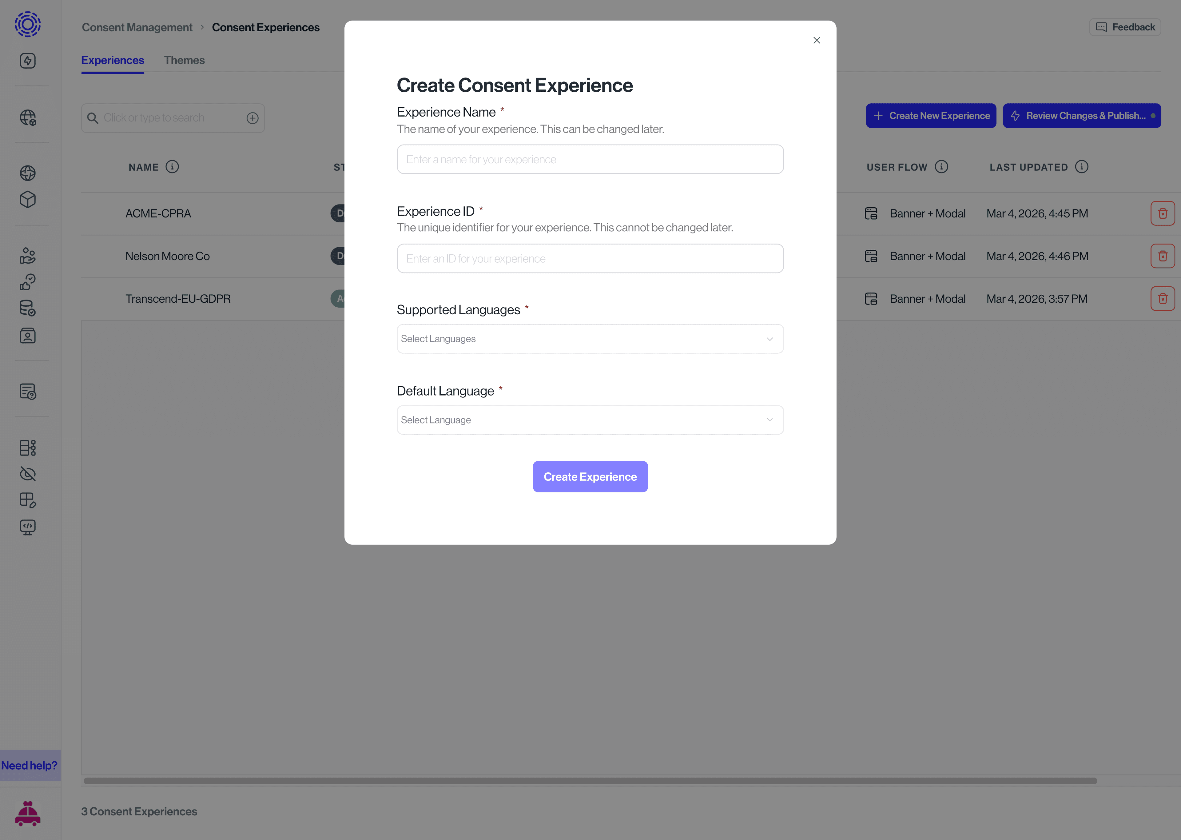 Entering experience name and details