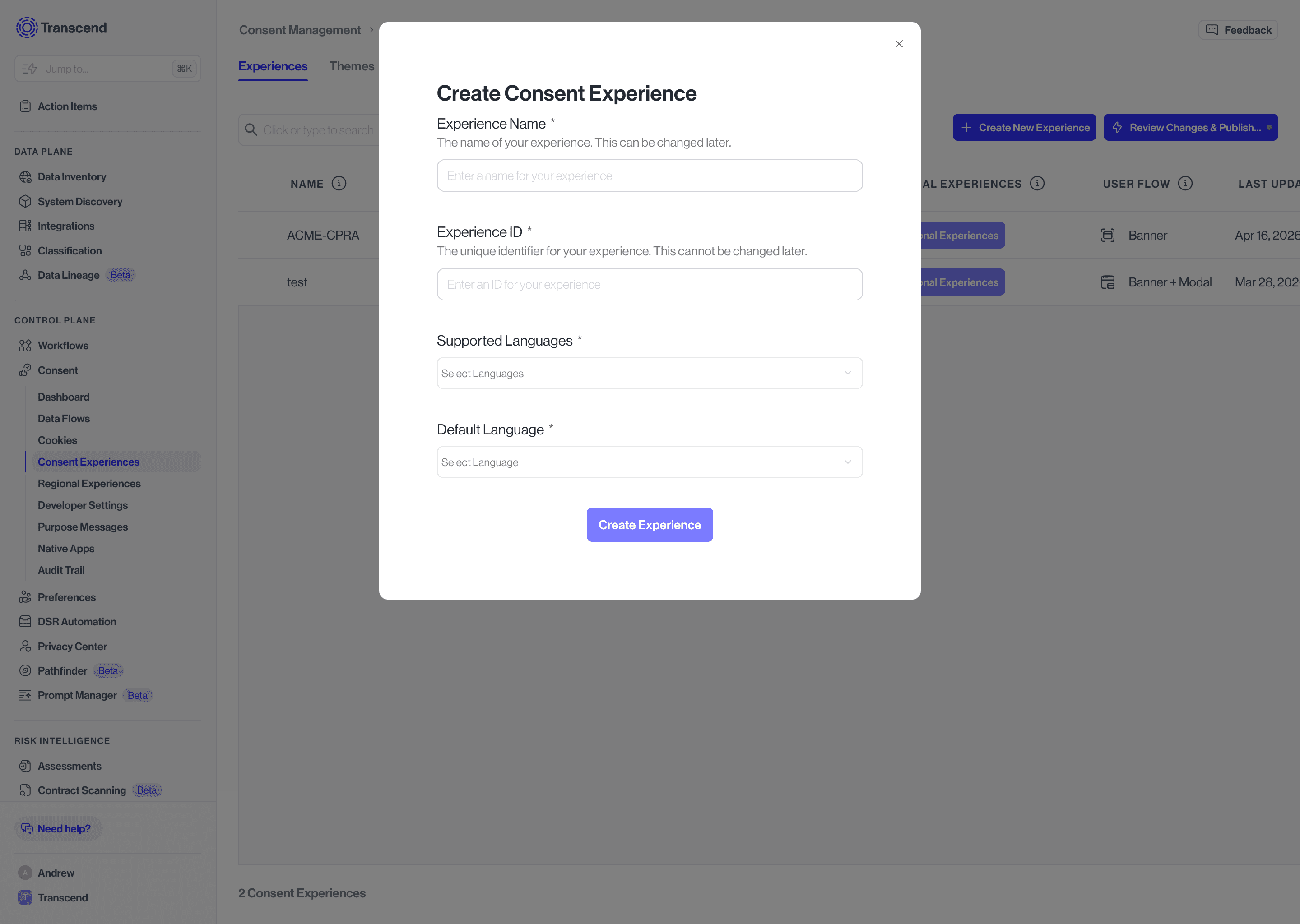 Entering experience name and details