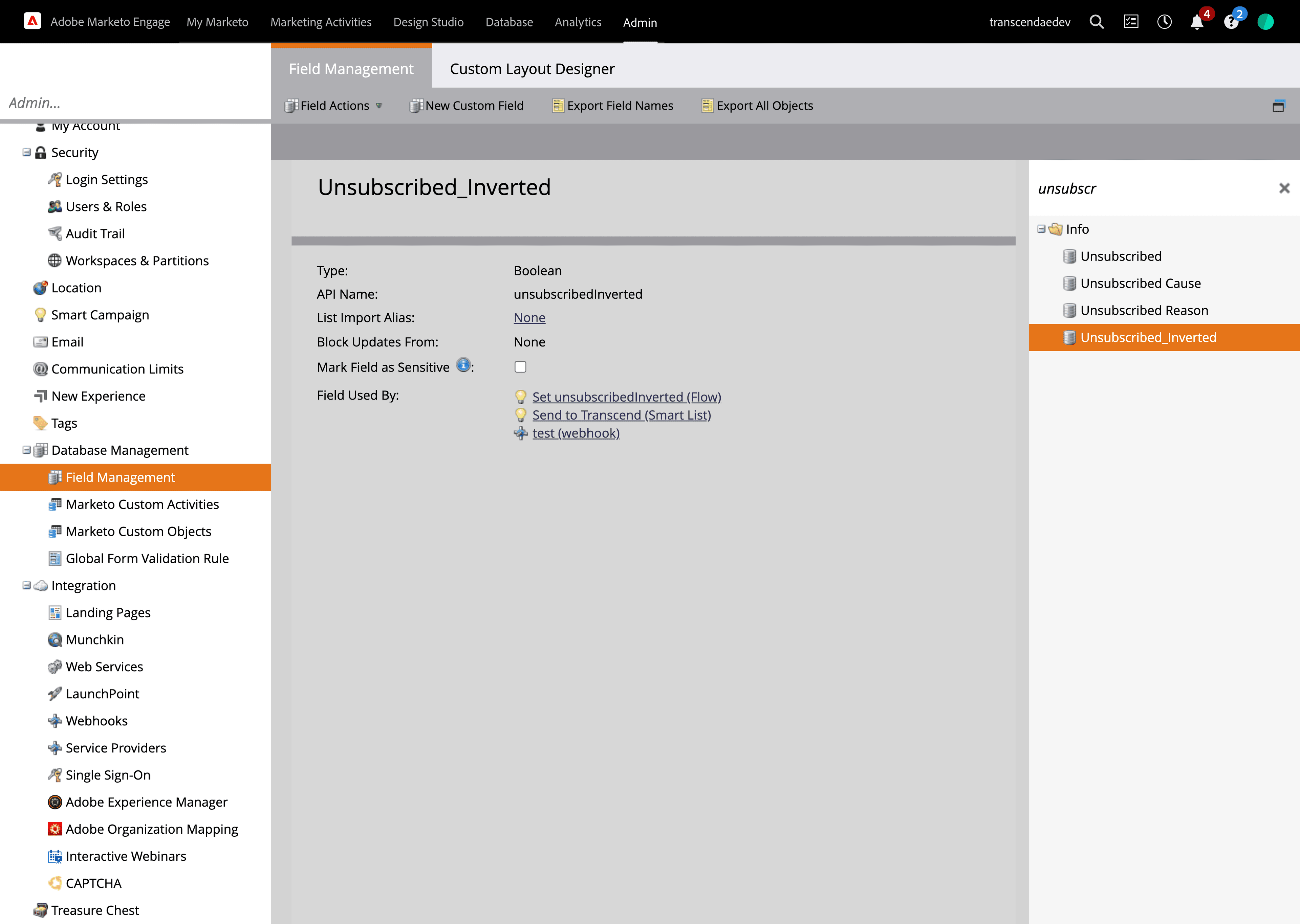 Marketo resulting created custom field